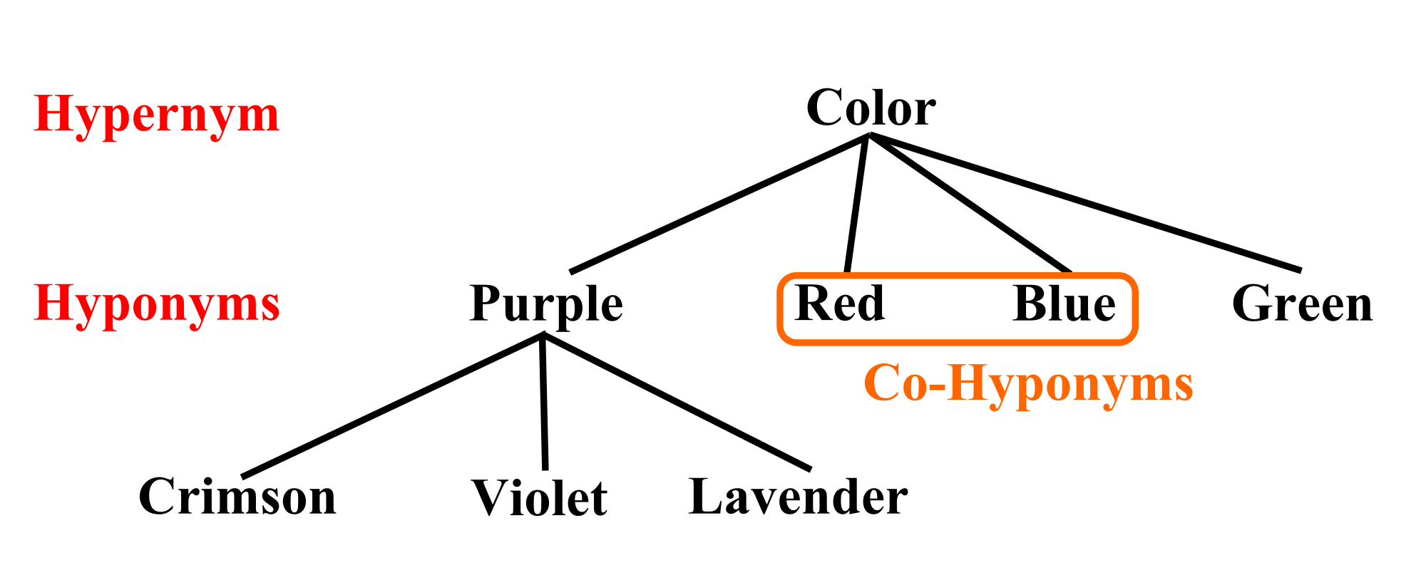 Linguistic tree illustrating relationships between terms describing colour. Source: Wikimedia Commons. hyper-hypo-cohyponym